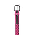 AMPLIFI Star Team Belt